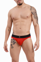 Scarlet Brief